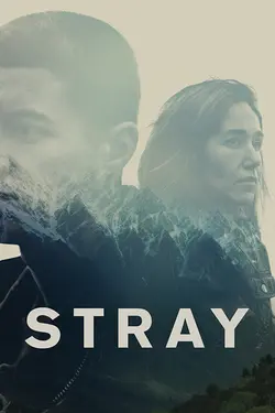 Stray