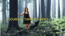 A Journey Through Pines