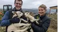 The Yorkshire Vet