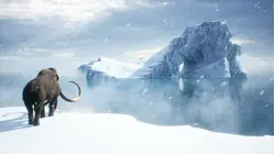 Iceland's Glacier Tomb