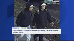 2 men wanted for pushing, robbing woman in Soundview