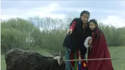 Yak