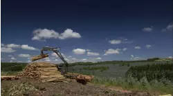 Stainless Steel and More