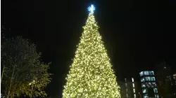 Cary marks start of holiday season with tree lighting