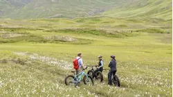 Top Travel Trends for 2026: Astro-Cruising, Viking Wellness, More