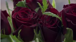 Blast Through Rock and More