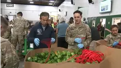 'Hardship and hunger' expected as SNAP payments wind down