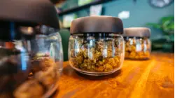 Puff, Puff... Pause? Industry Leaders Talk Cannabis Consolidation