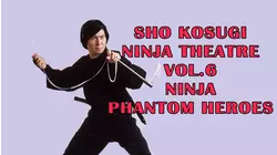 Ninja Phantom Heroes: Sho Kosugi Ninja Theatre Vol. 6