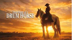 Heartbeat of a Drum Horse