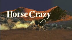 Horse Crazy