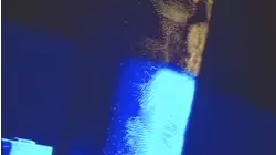 Trace of Paranoia