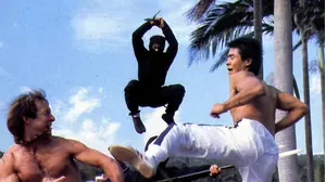 Ninja Demon's Massacre