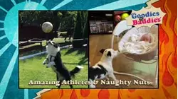 Goodies VS. Baddies | Amazing Athletes & Naughty Nuts