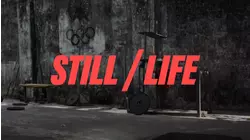 Still/Life