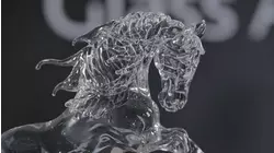 Glass Sculptures, Inductors