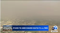 Studies tie unrecognized deaths to LA fires
