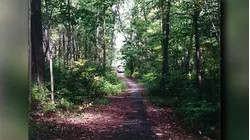 Jury sees autopsy photos, hears testimony about how Norwalk girl killed in 1986 was bound, strangled