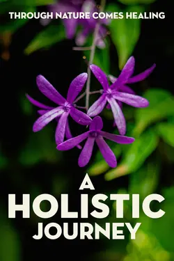 A Holistic Journey