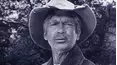 The Beverly Hillbillies