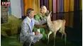 The Johnny Carson Show
