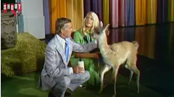 The Johnny Carson Show: Animal Antics With Joan Embery (9/13/74)