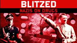 Blitzed: Nazis on Drugs
