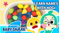 Learn Names with Hogi