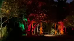 Moonlight in the Garden returns to NC State's JC Raulston Arboretum