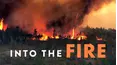 Into the Fire