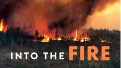 Into the Fire