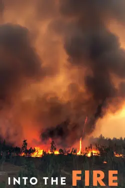 Into the Fire