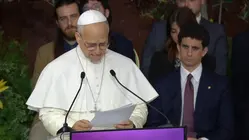 Pope Leo faces backlash over new AI safety partnership