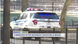 Three arrested after shooting and brawl outside Bushwick NYCHA building
