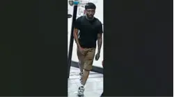 Police search for Highbridge ice cream thief