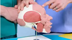 Doctors Face Off!