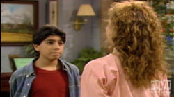 ALF: S3 E13 - Fight Back