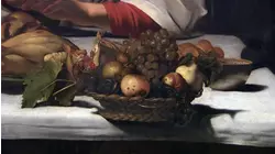 Fruit Palettes