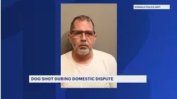 Norwalk resident arrested following domestic dispute involving wounded dog that was shot