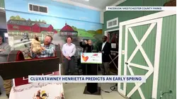 Cluxatawney Henrietta lays egg, predicts early spring