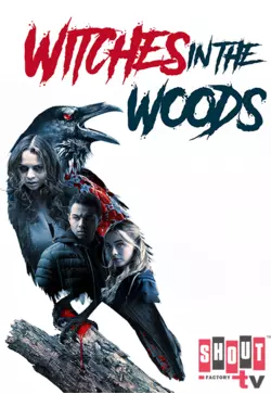 Witches In The Woods