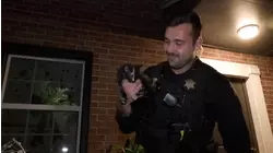 Family Fighting