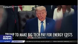 Political analysis: Markey wins MA primary, and new pro-Trump economy ads