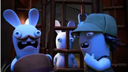 Rabbid investigation