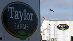 Taylor Farms Lettuce Test for Cyclospora Was False Positive: FDA