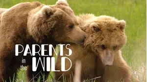 Parents in the Wild