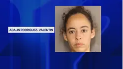 Woman accused of breaking into 2 synagogues in the Village of Monticello
