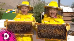 Diana and Roma Learn About Bees!