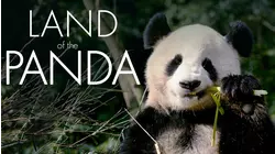 Land of the Panda