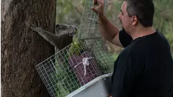 Brisbane Floods